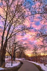 Vibrant Sky Over A Snowy Park Pathway