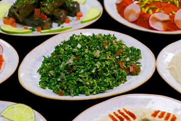 libanese arabic food mezze, includes hummus, muhammara, moutabal, taboule and vine leaves.