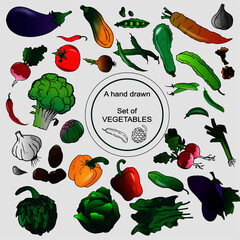 set of vegetables, a hand drawn set of set of vegetables