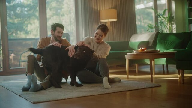 At Home: Happy Couple Play with Their Dog, Gorgeous Brown Labrador Retriever. Boyfriend and Girlfriend Tease, Pet and Scratch Super Happy Doggy, Have Fun in the Stylish Living Room
