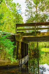 Okefenokee Swamp Park