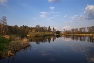 Spring landscape by the pond.