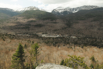 Trees and hill amongst the base of Mount Washington in NH.