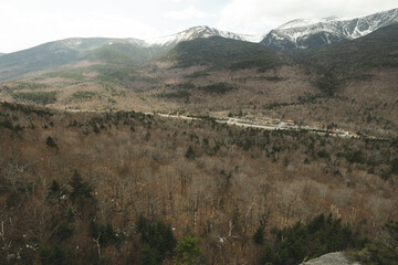 Trees and hill amongst the base of Mount Washington in NH.