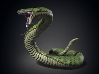 The snake monster © Dina