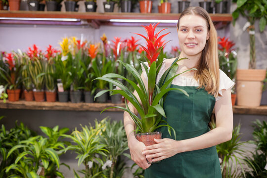 Illustration des Menstruationszyklus