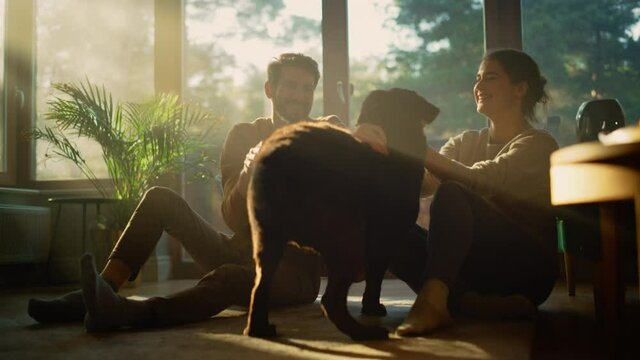 At Home: Happy Couple Play with Their Dog, Gorgeous Brown Labrador Retriever. Boyfriend and Girlfriend Tease, Pet, Scratch Super Happy Doggy, Have Fun in the Stylish Living Room. Slow Motion