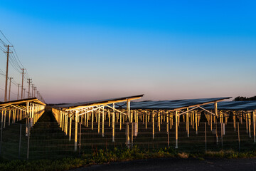 朝日に照らされる野建ての太陽光発電所