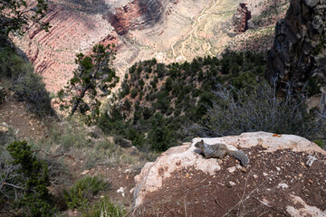 Obraz premium Grand Canyon National Park in USA, Canyon landscapes.