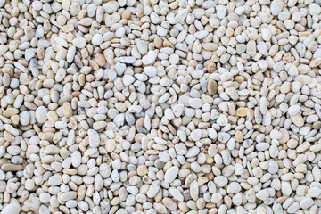 White rock river texture background. Abstract colorful mini granite crushed stones on ground texture background. Gray rubble construction rock pebble pattern