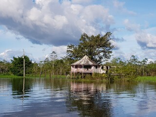 Obraz premium Nature impressions of a trip by boat from Mamori to Manaus over the rivers Mamori, Rio Araça, Rio Solimões and Rio Negro on April 25, 2021