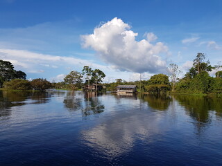 Fototapeta premium Nature impressions of a trip by boat from Mamori to Manaus over the rivers Mamori, Rio Araça, Rio Solimões and Rio Negro on April 25, 2021