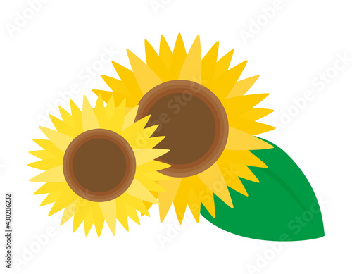 ひまわりのベクターイラスト 夏の花 Wall Mural Wallpaper Murals Nisi