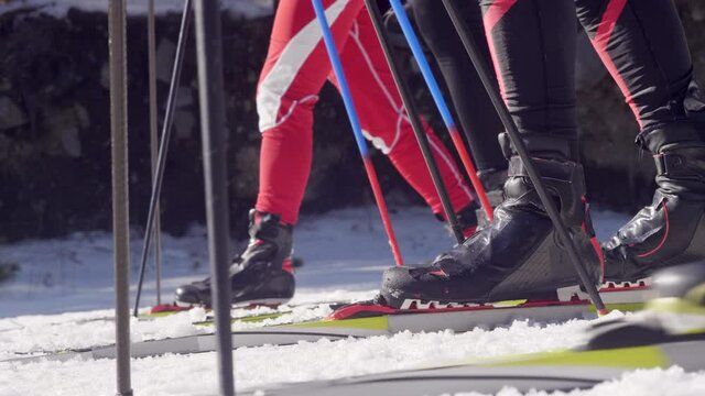Close up view of legs of group of unrecognizable skiers with poles getting ready and then start ski race on cross country trail