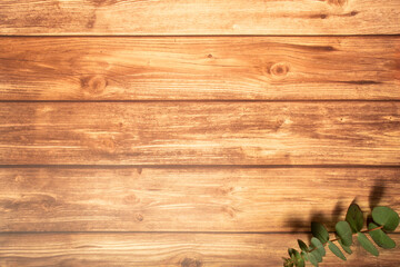 ユーカリと木目調の床 フレーム