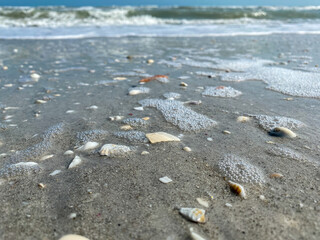 Waves shells Sanibel beach Florida
