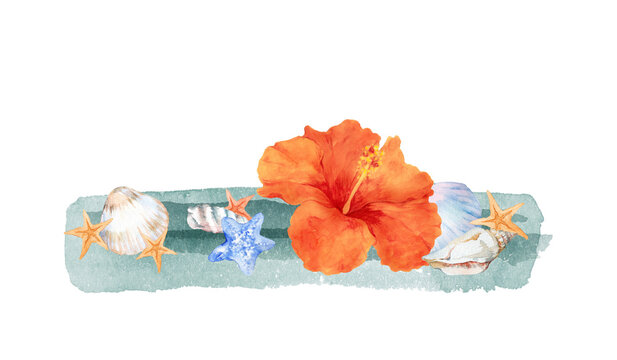 ハイビスカスの花と貝殻の水彩画