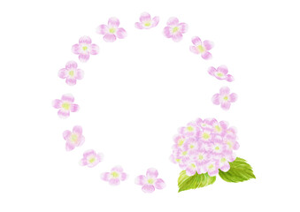 ピンクのアジサイの水彩画飾り