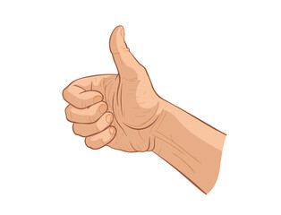 Human realistic caucasian hand shows thumb up (like). Vector illustration, isolated on a white background, EPS 10. The concept of success, approval and good evaluation.