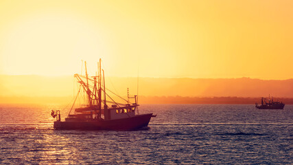 Silhouette of a Trawler Fishing Boat heading out to sea. Dramatic sunset with beautiful golden light. Commercial Fishing Industry concept. 