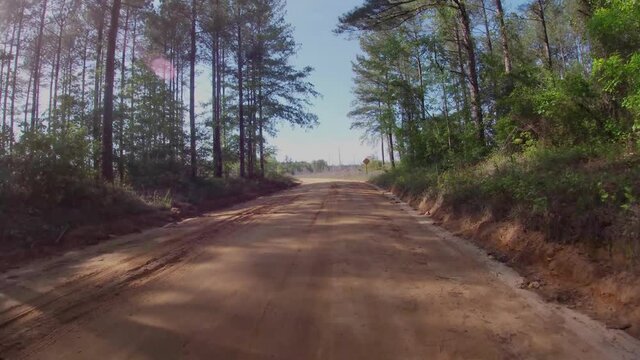 FPV driving on a rural dirt road through the forest tree harvested land