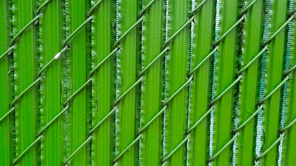 Abstract background green fence textured metal