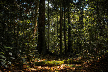a good place to hang out, surrounded by nature