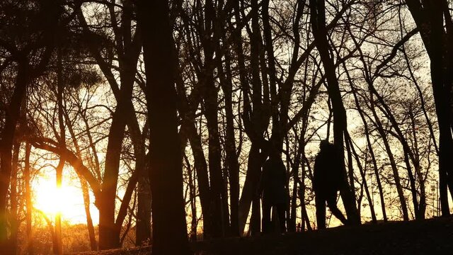 adult couple in silhouette walking in the forest at sunset