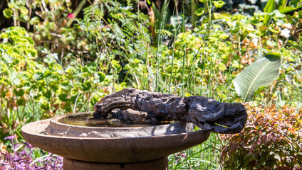 A bird bath with a large stump for birds to perch on with a green garden background 