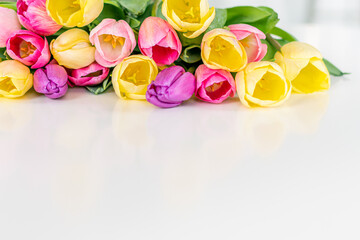 Beautiful yellow purple tulips on a light background. Fresh spring flowers. Copy space for text. Floral summer concept.