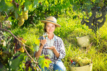 Naklejka na ściany i meble Successful female winemaker inviting to tasting wine of own production in vineyard in sunny day