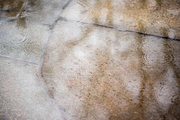 huge raindrops on a granite walkway in the park
