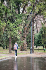 path wet from the rain in the park of Almaty