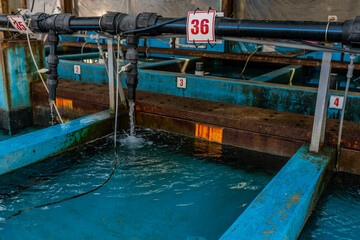 Fototapeta na wymiar Water filling storage tanks for live fish at industrial fishing port.