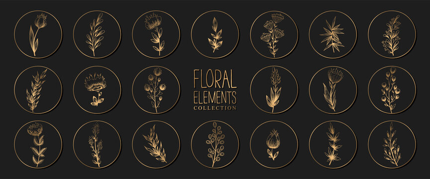 Collection Of Gold Floral Round Icons Isolated On Black Background. Set Of Elegant Vector Highlight Covers For Social Media Stories