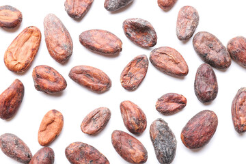 Cocoa beans on white background