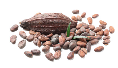 Cocoa beans on white background