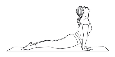 a woman practising upward facing dog yoga posture on a mat vector lineart illustration
