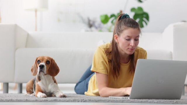 Woman freelancer typing text on laptop for blog, lie on floor with dog Spbi. Female smile and make