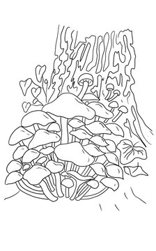 Mushrooms coloring book for children and adults clearing in the forest fairytale forest cute pictures trees hemp graphic illustration hand-drawn sketch print antistress