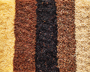 Set of various rice