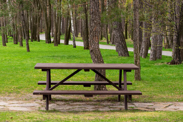 Obraz na płótnie Canvas Empty bench in the spring park. The perfect place to get away from urban problems.