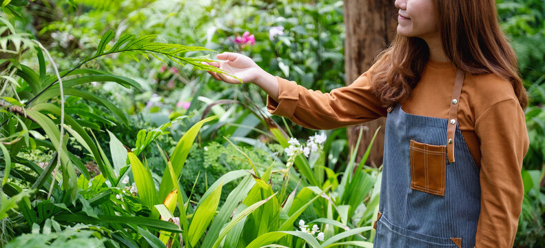 Closeup image of a young asian female gardener taking care of plants in the garden