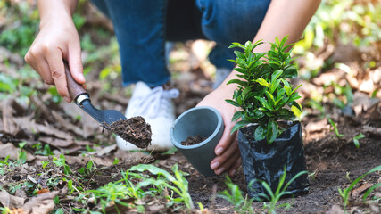 Closeup image of a woman preparing to replanting plant by use a shovel to scoop soil into the pot for home gardening concept