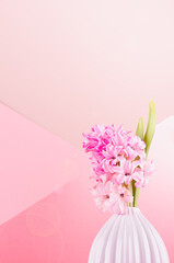 Fresh delicate spring background with hyacinth flower for easter in white vase with sunbeam, sun flare on pastel pink background, copy space, closeup.