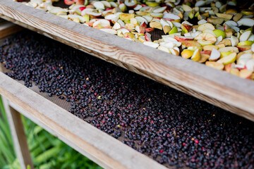 Organic dry apples and berry. Homemade process of drying fruits.