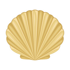 Scallop as Saltwater Clams or Marine Bivalve Mollusk Vector Illustration