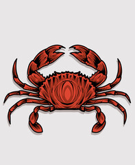 illustration vintage crab on white background