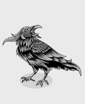 illustration vector vintage crow bird