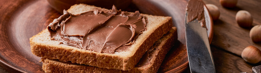 Chocolate nut pasta with slices of toast bread in a plate banner